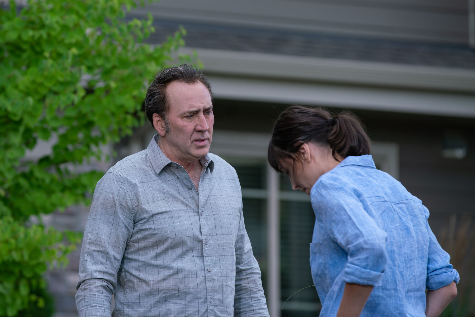 Scene Image 4