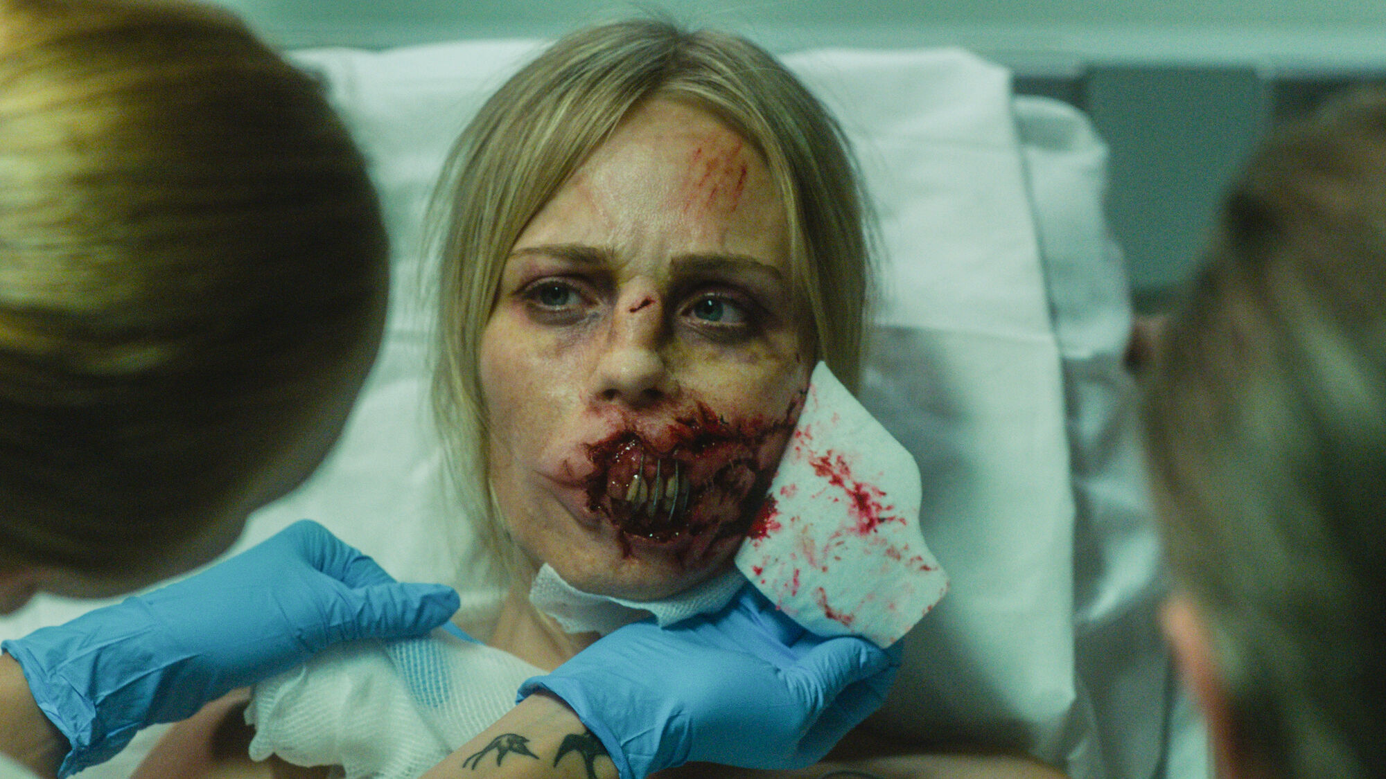 Scene Image 1