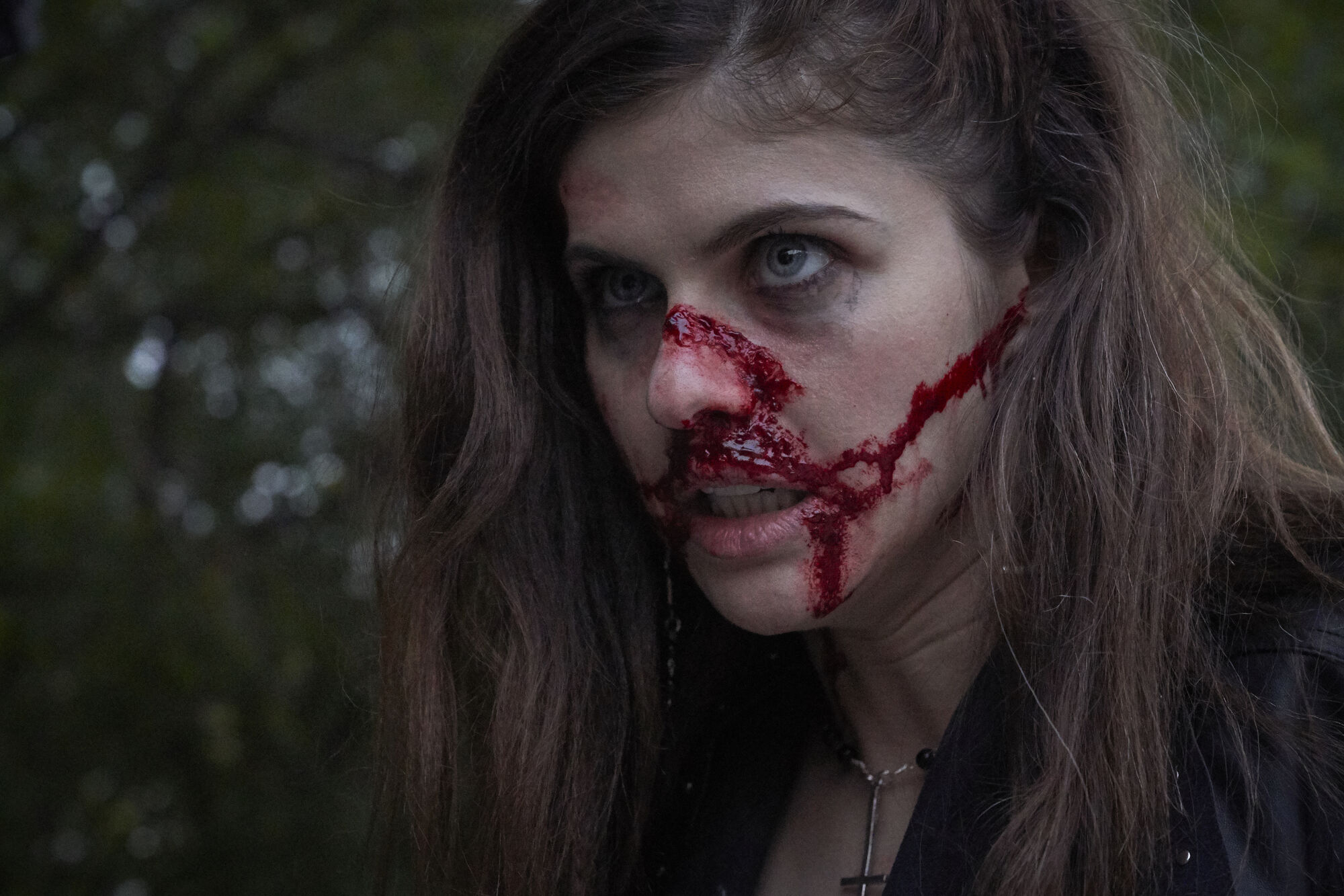 Scene Image 4