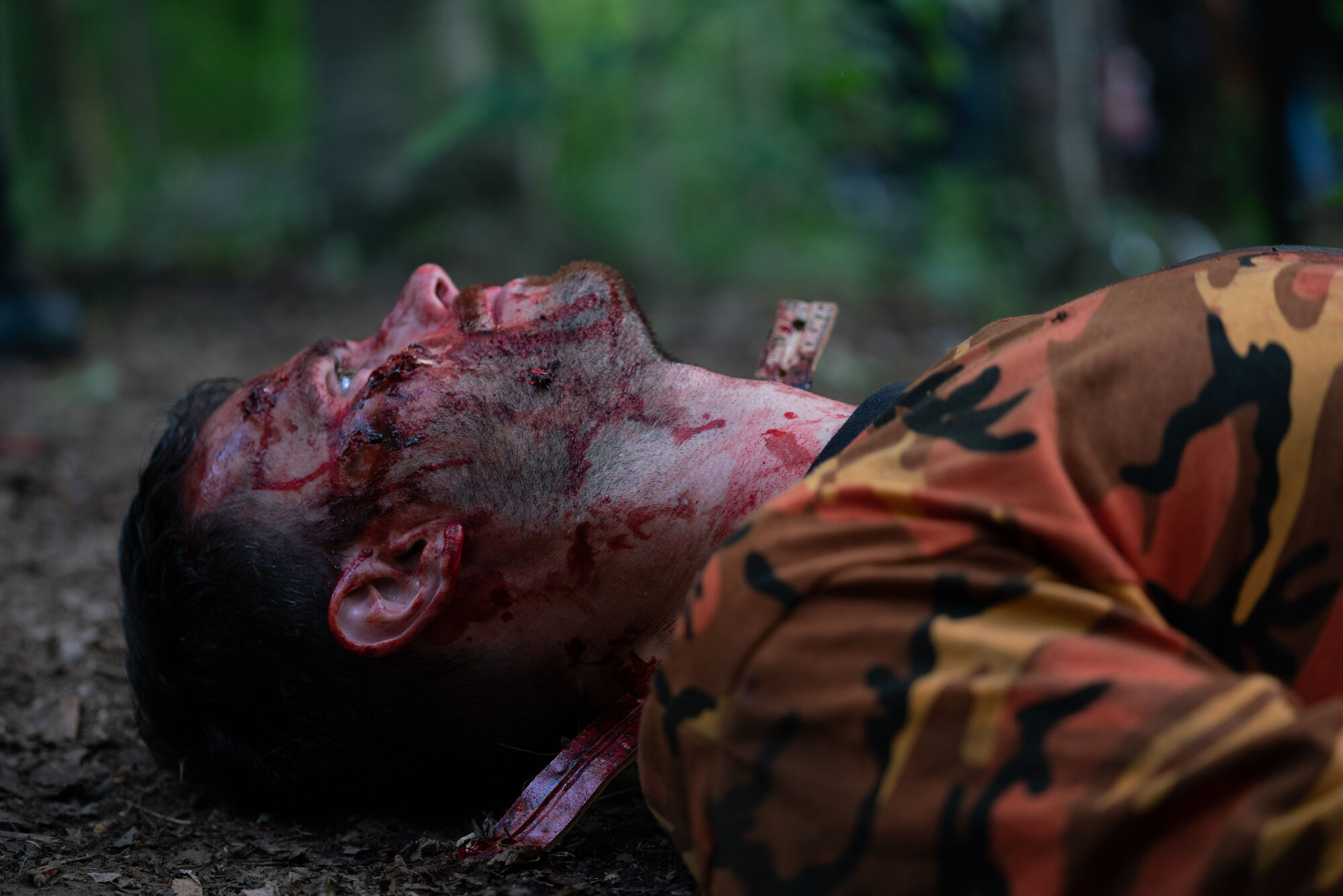 Scene Image 4