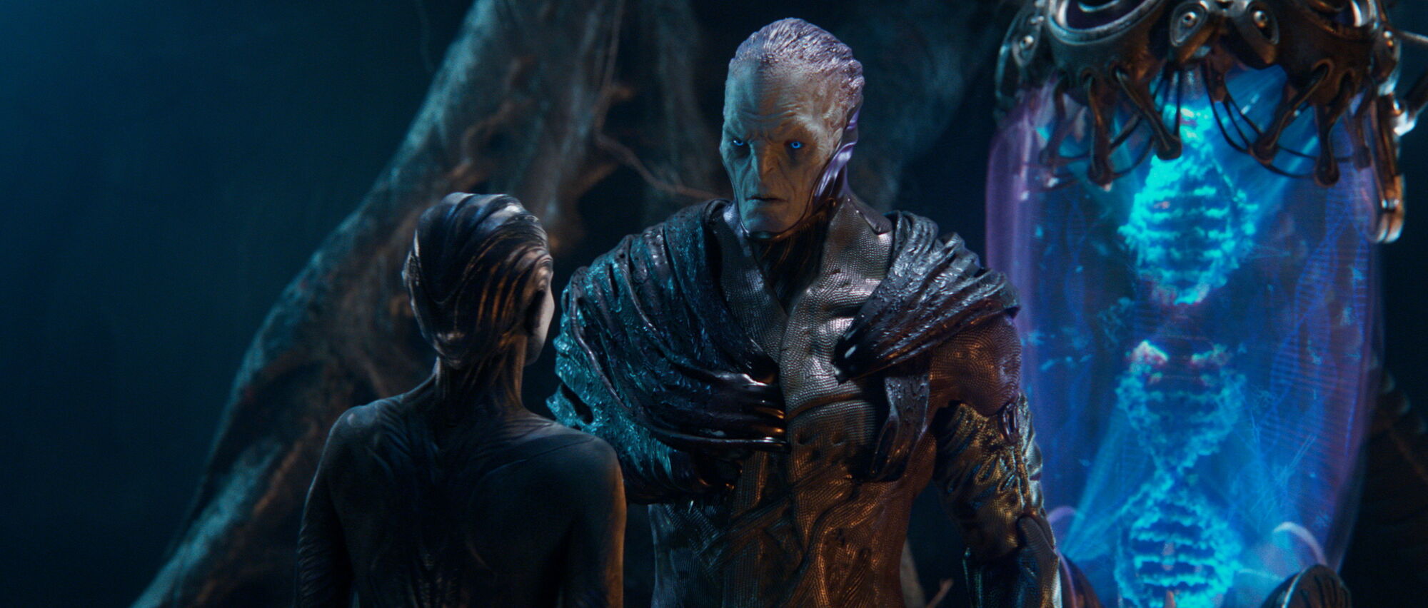 Scene Image 5