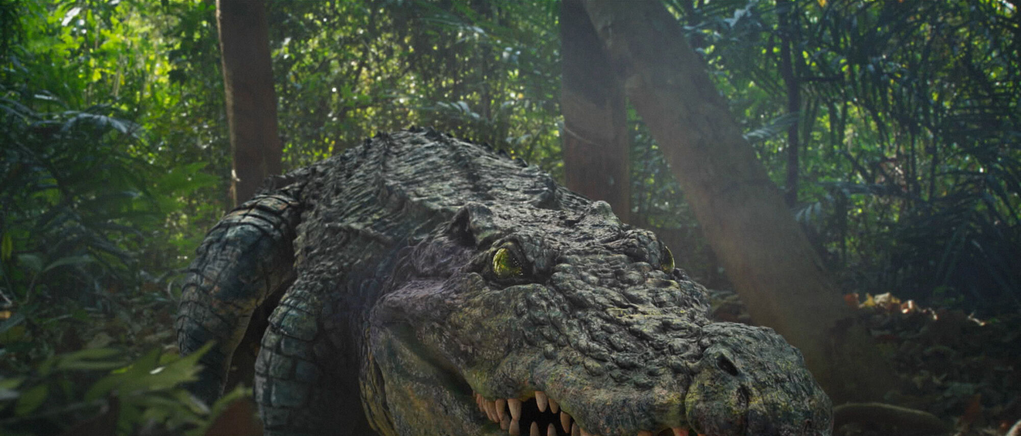 Scene Image 4