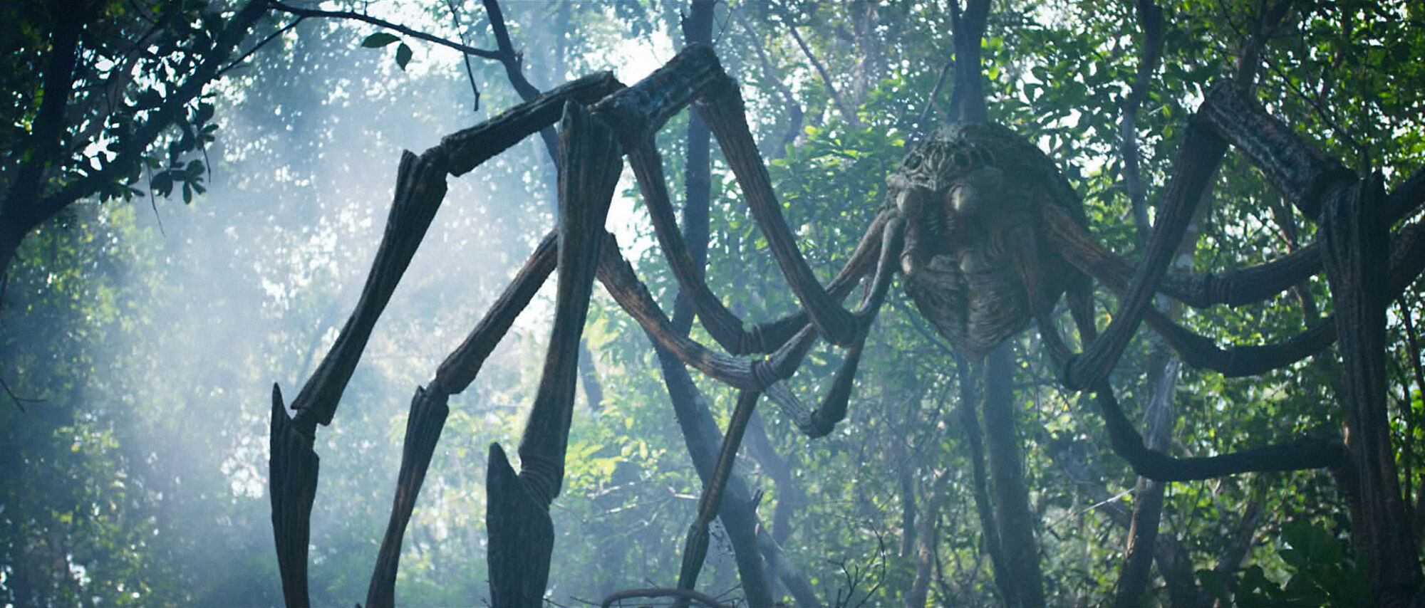 Scene Image 6