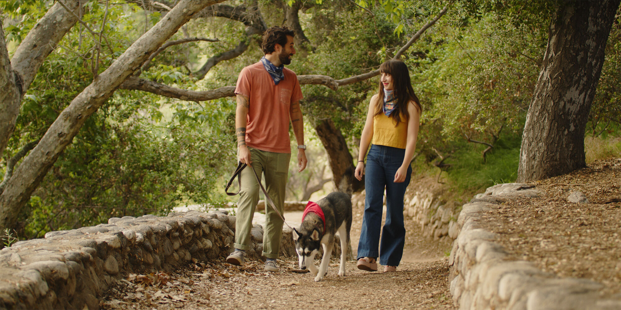 Scene Image 6