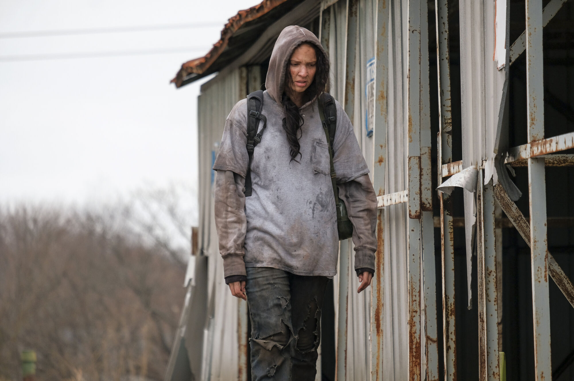 Scene Image 6