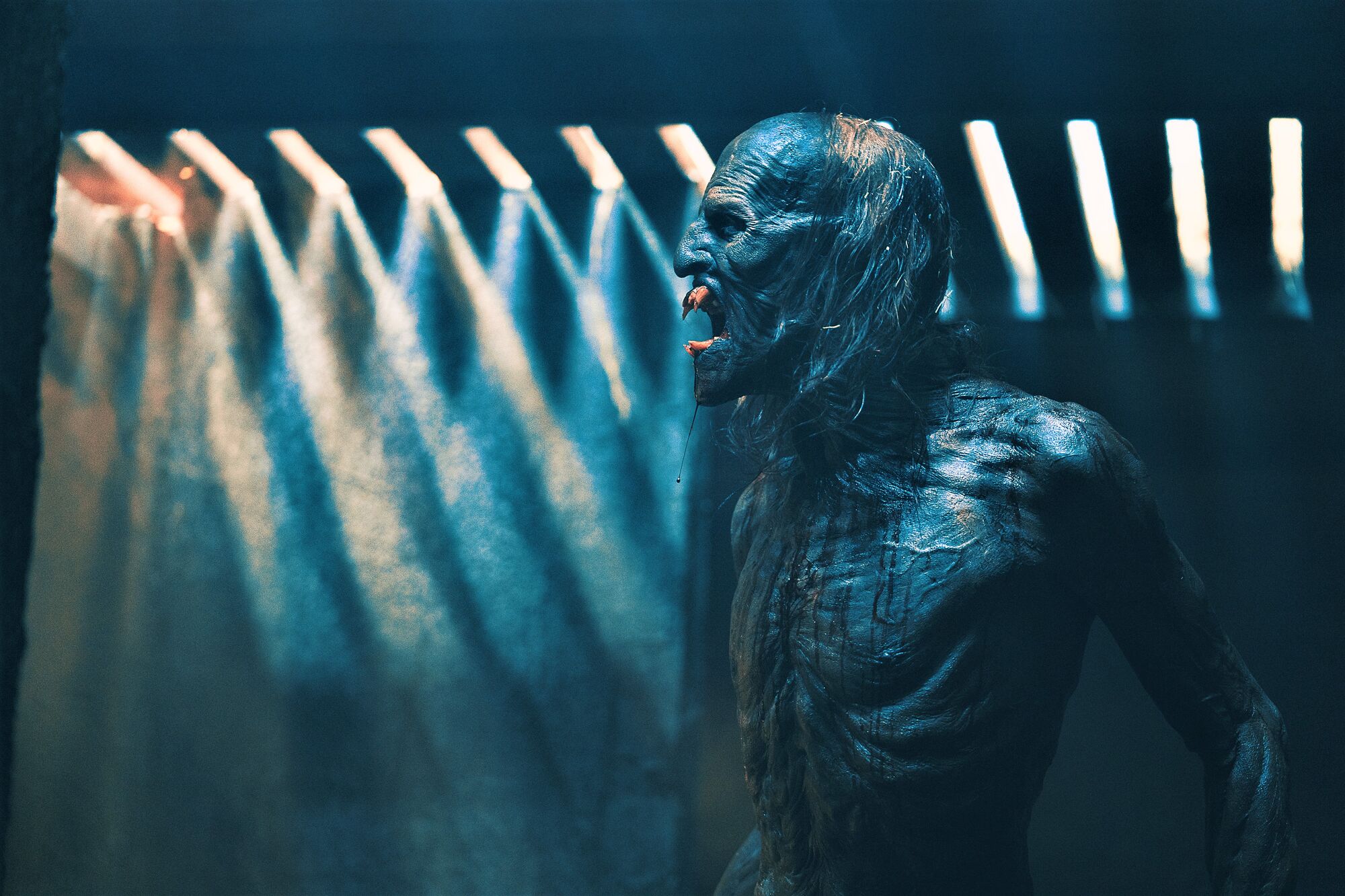 Scene Image 1