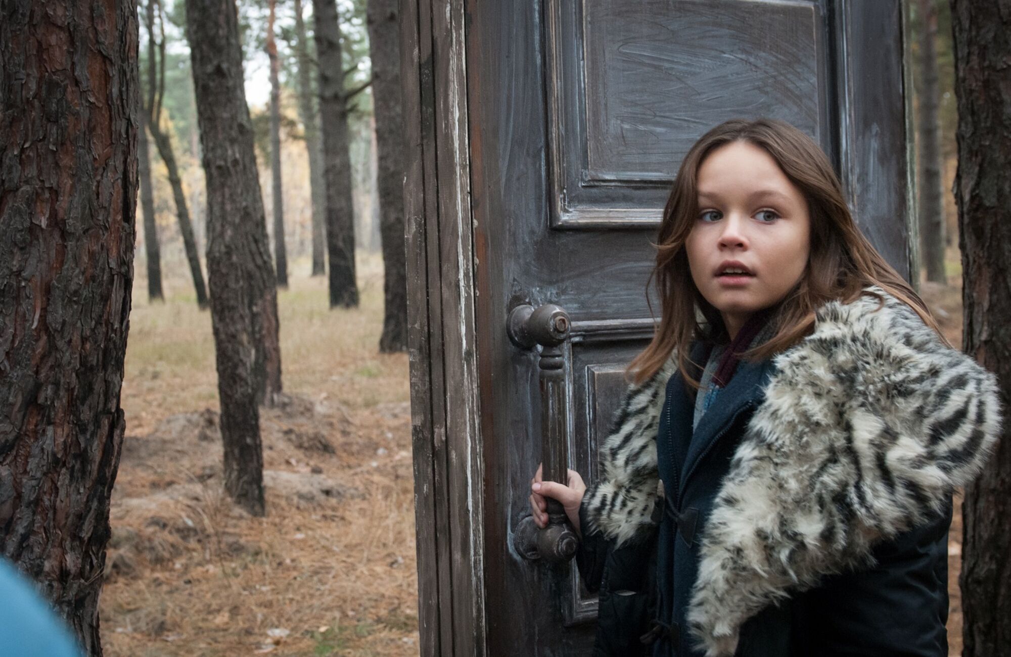 Scene Image 1