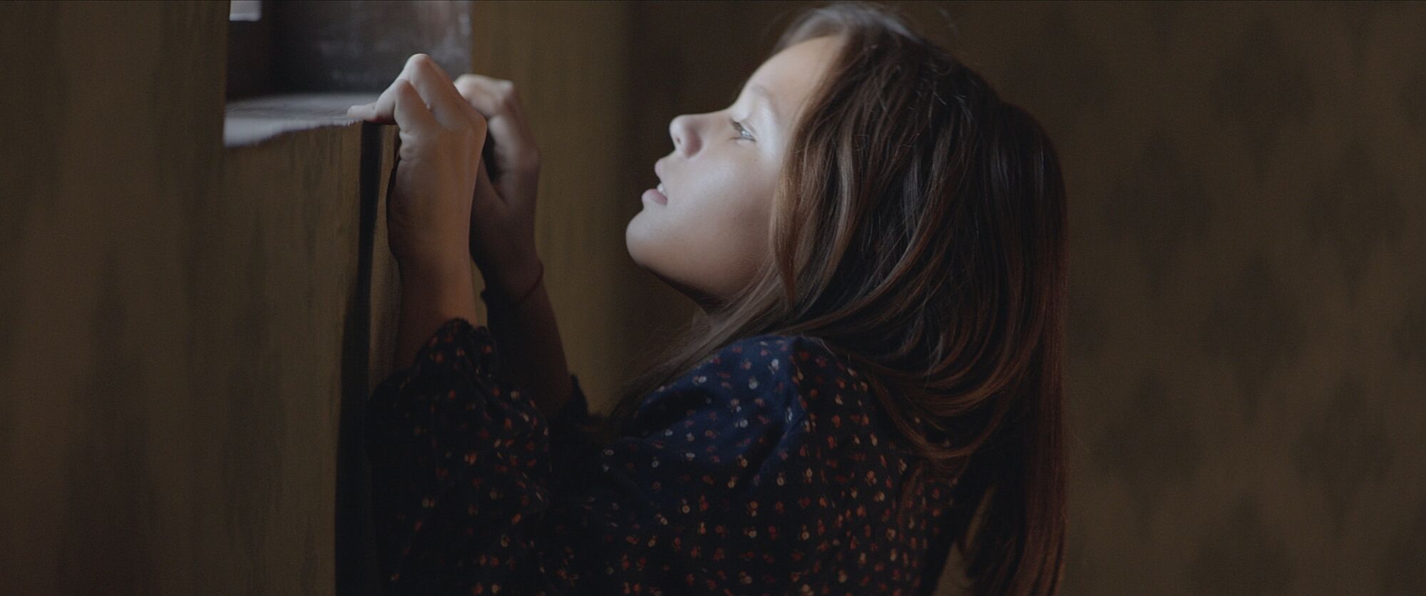 Scene Image 2