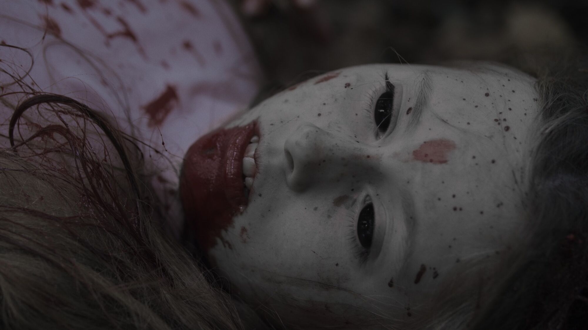 Scene Image 1