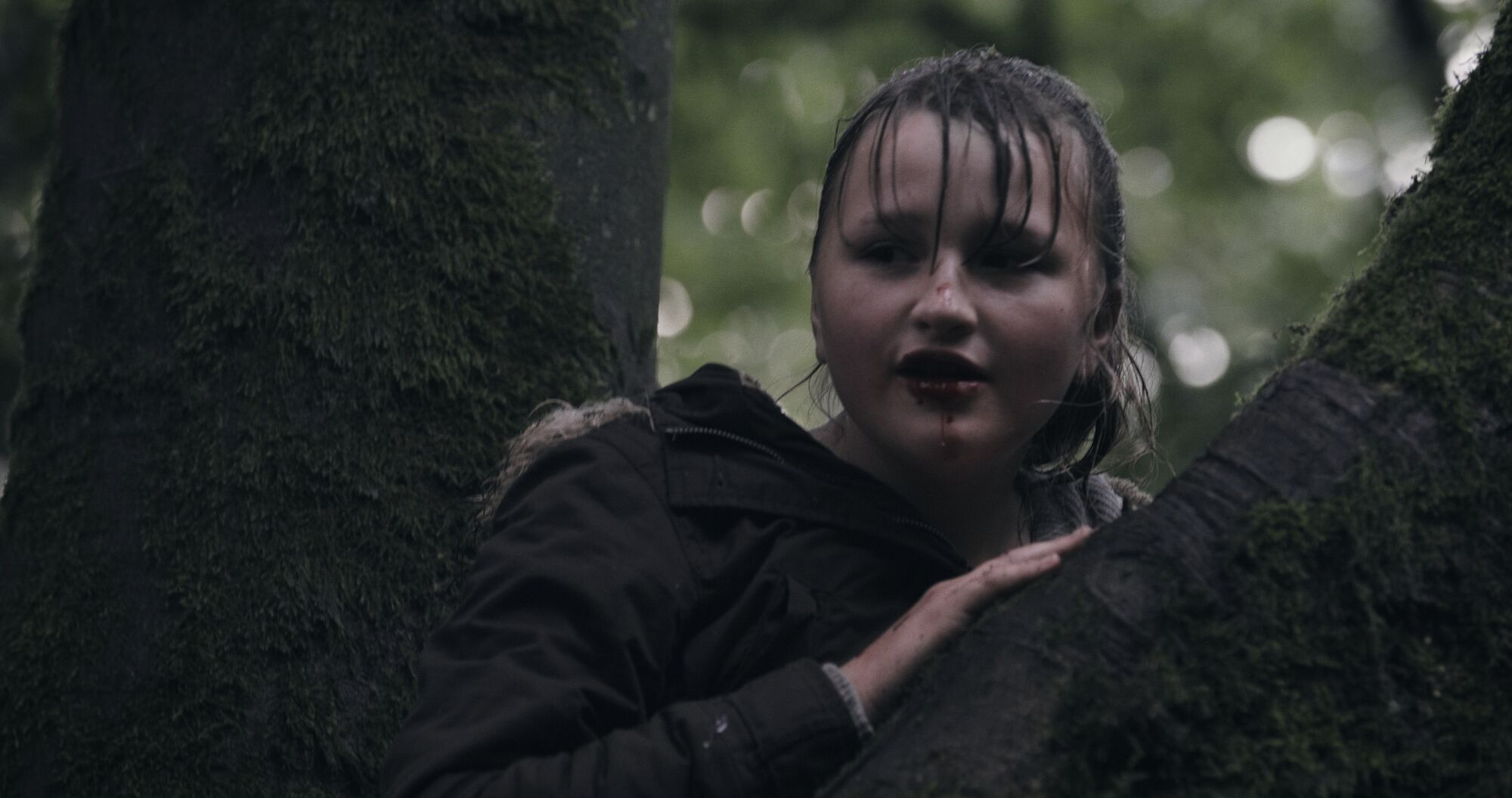 Scene Image 6