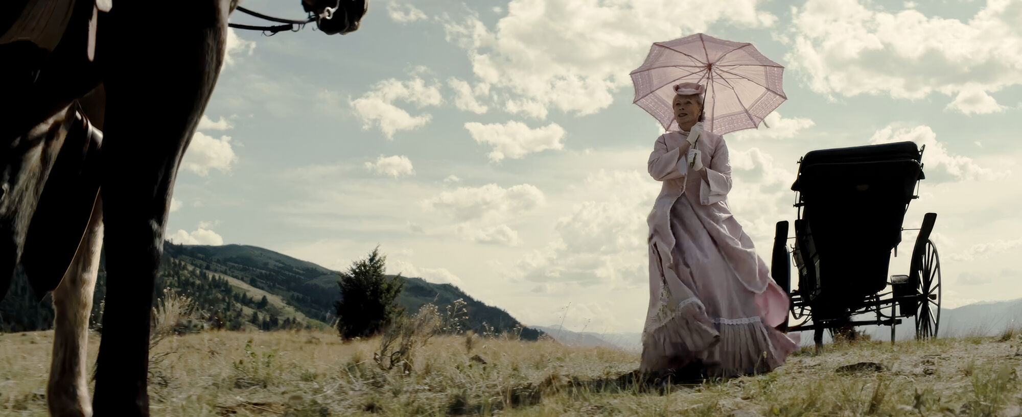 Scene Image 4