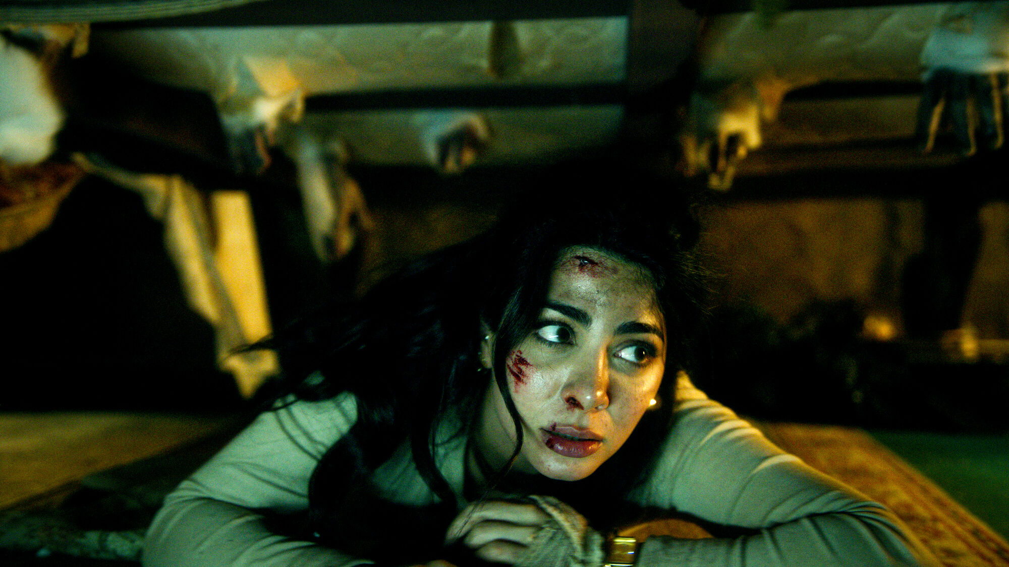 Scene Image 6