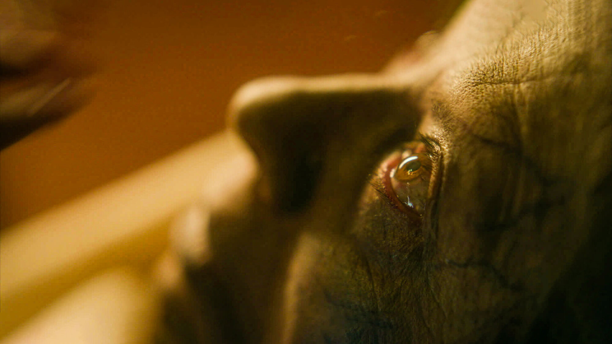 Scene Image 5