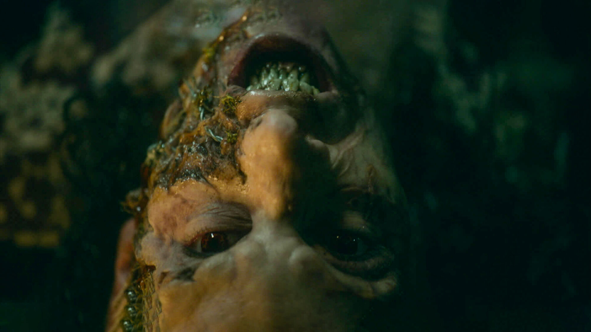 Scene Image 8