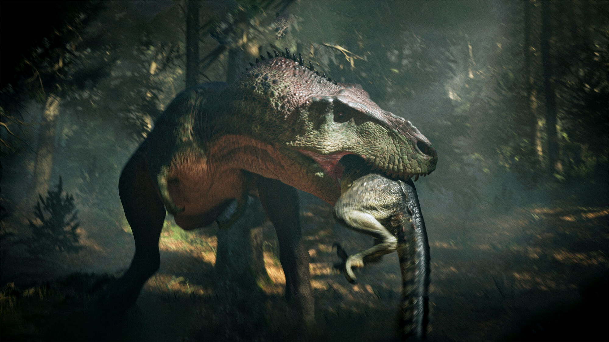 Scene Image 6