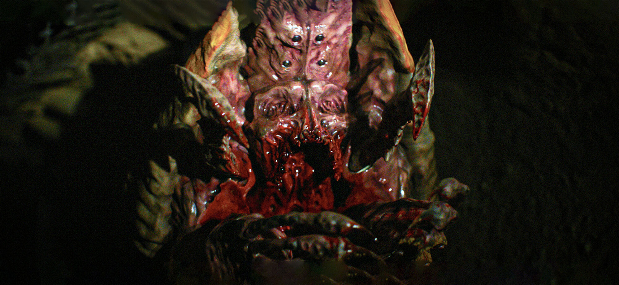 Scene Image 3