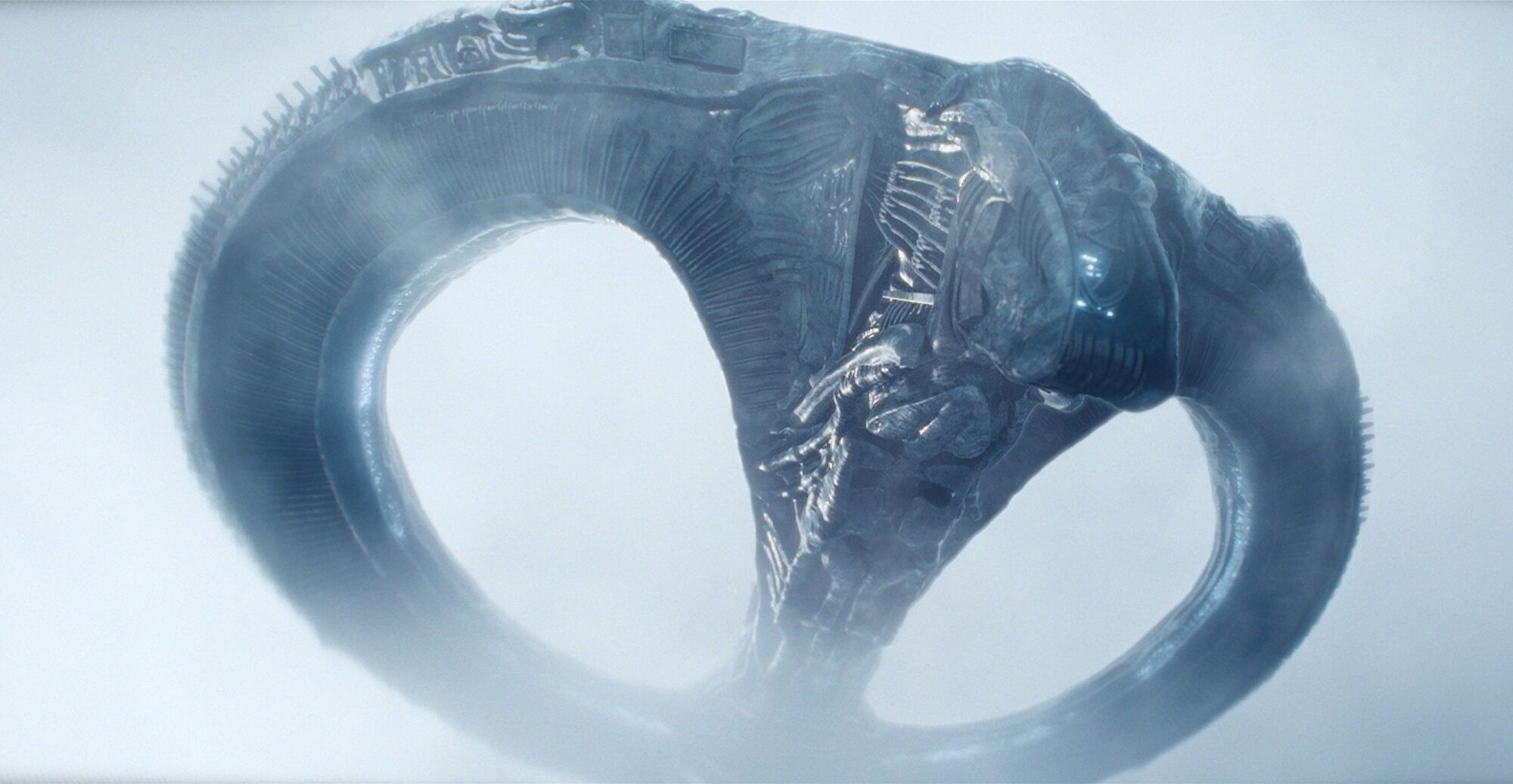 Scene Image 3