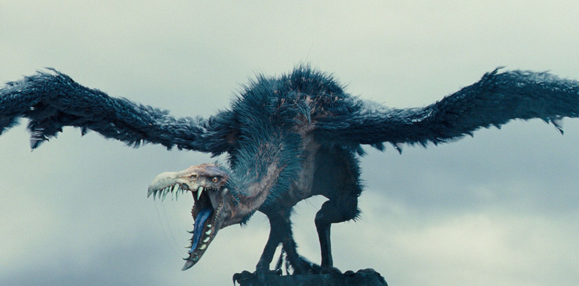 Scene Image 5