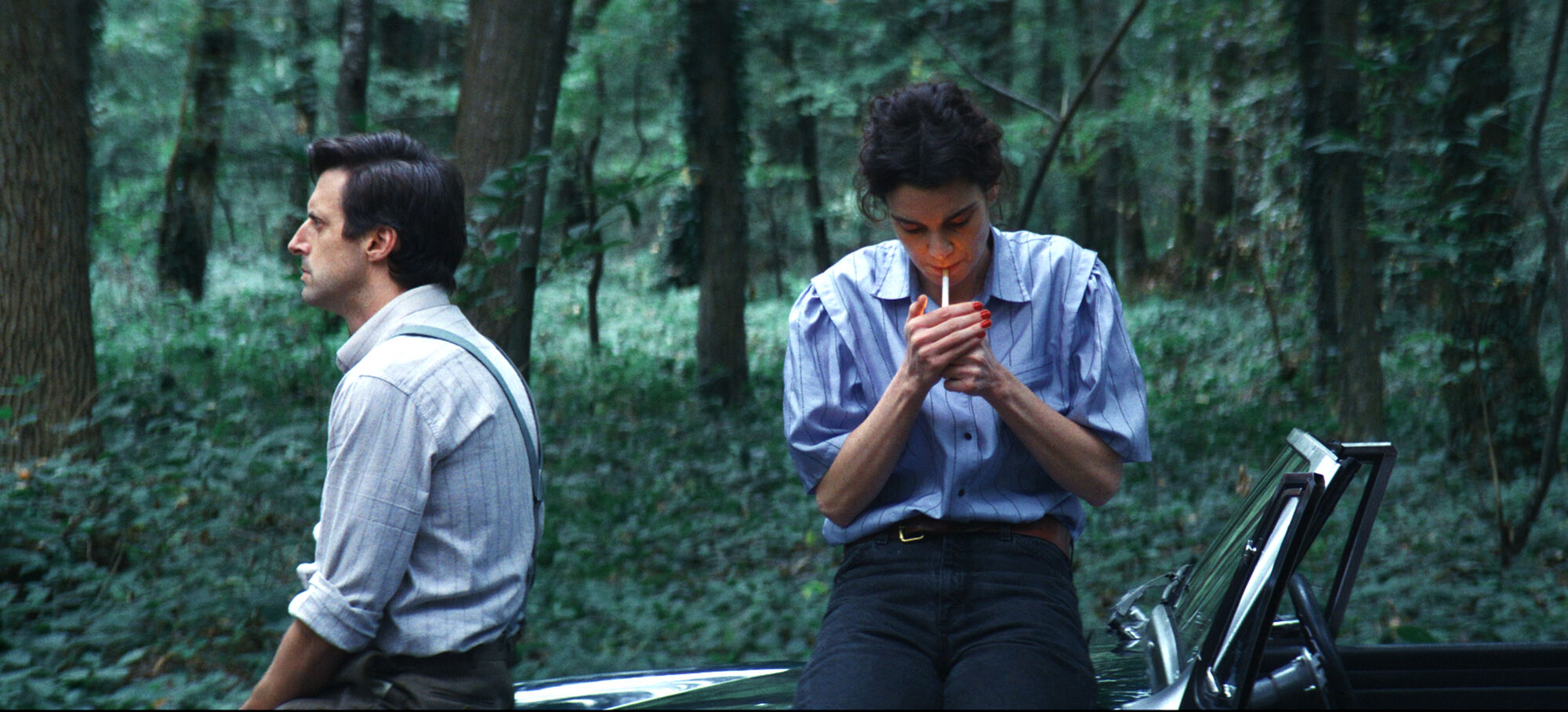 Scene Image 3