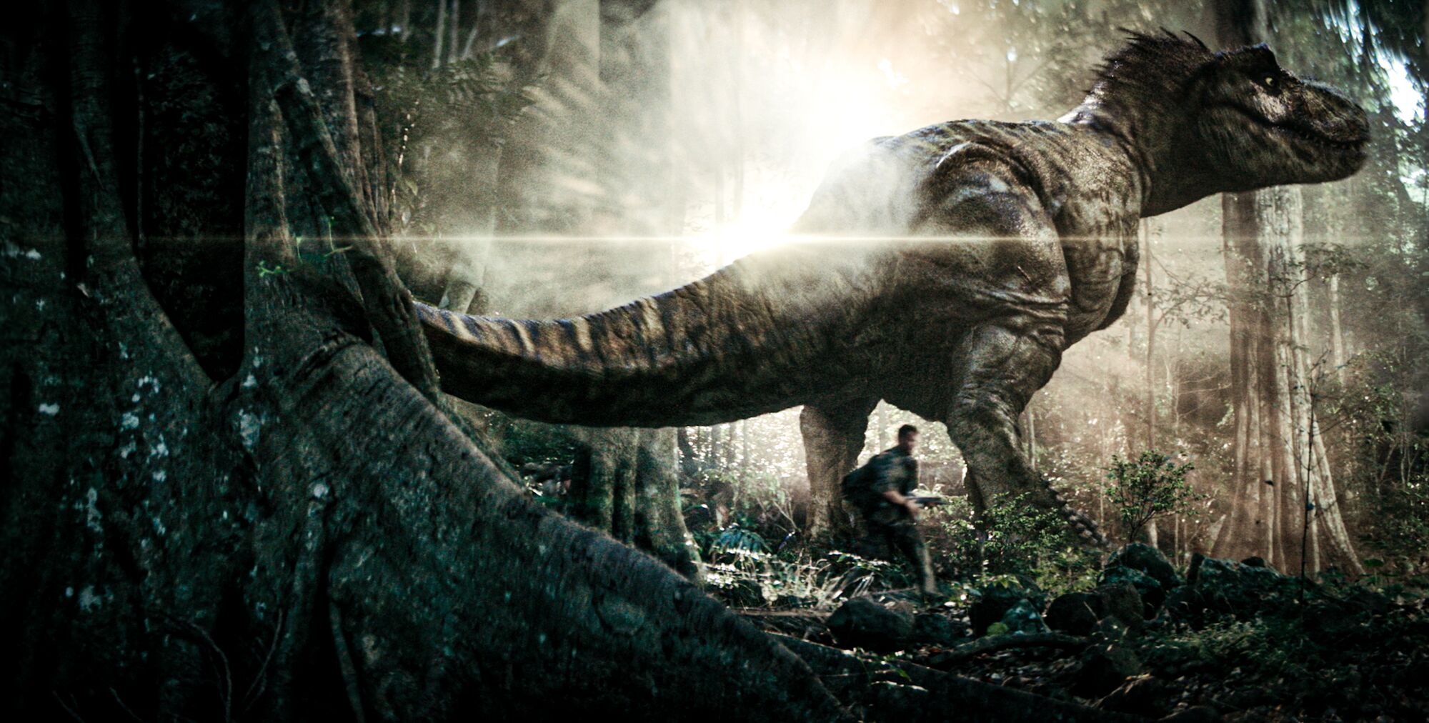 Scene Image 1