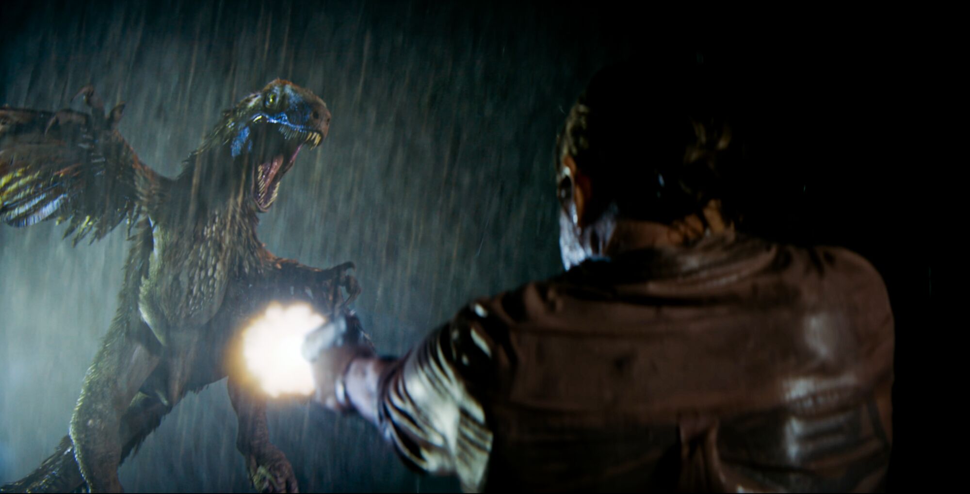 Scene Image 4