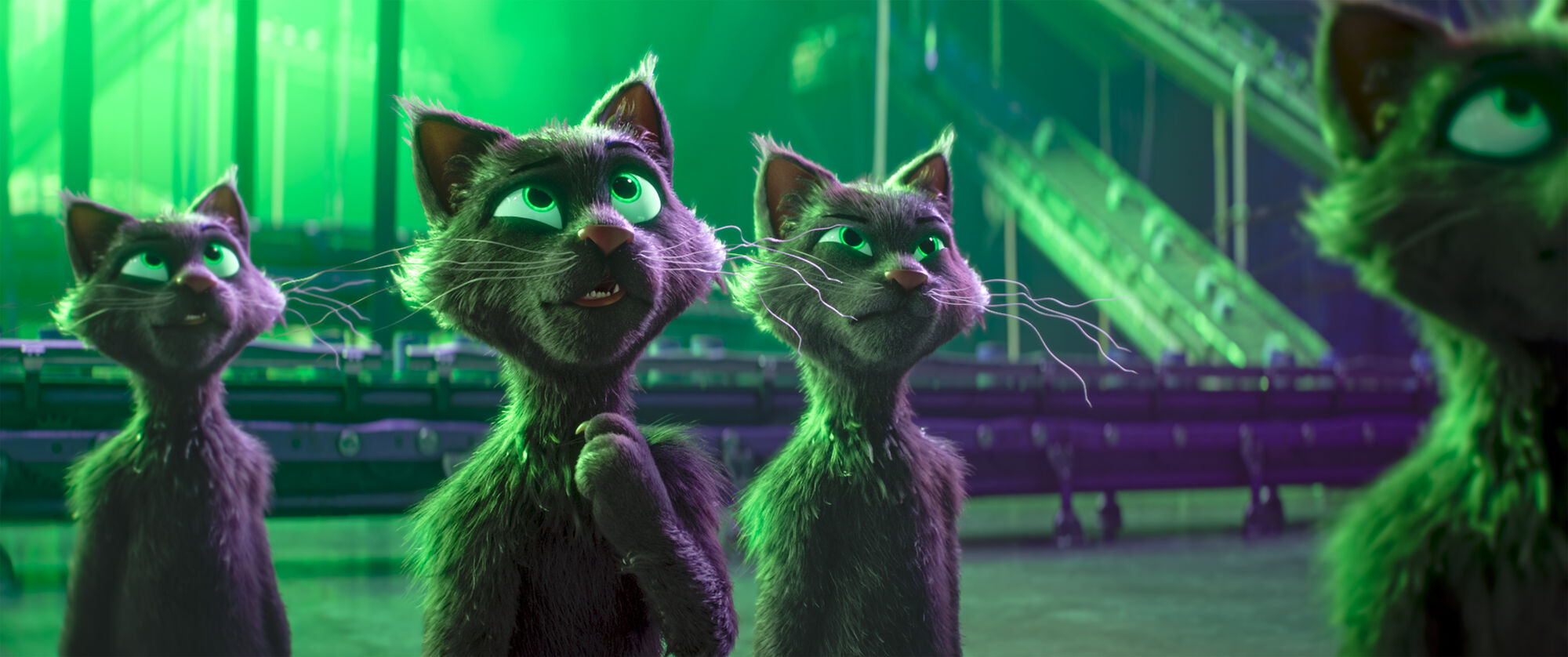 Scene Image 6