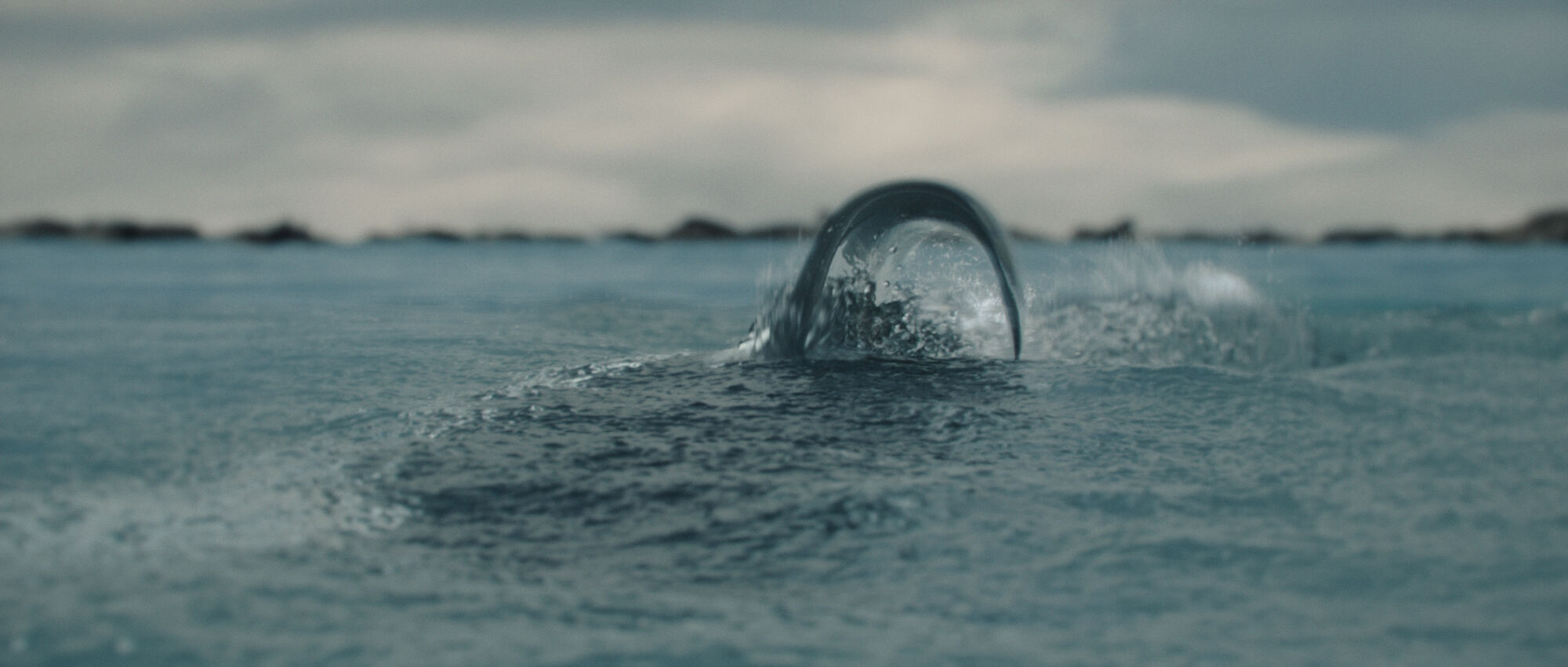 Scene Image 3