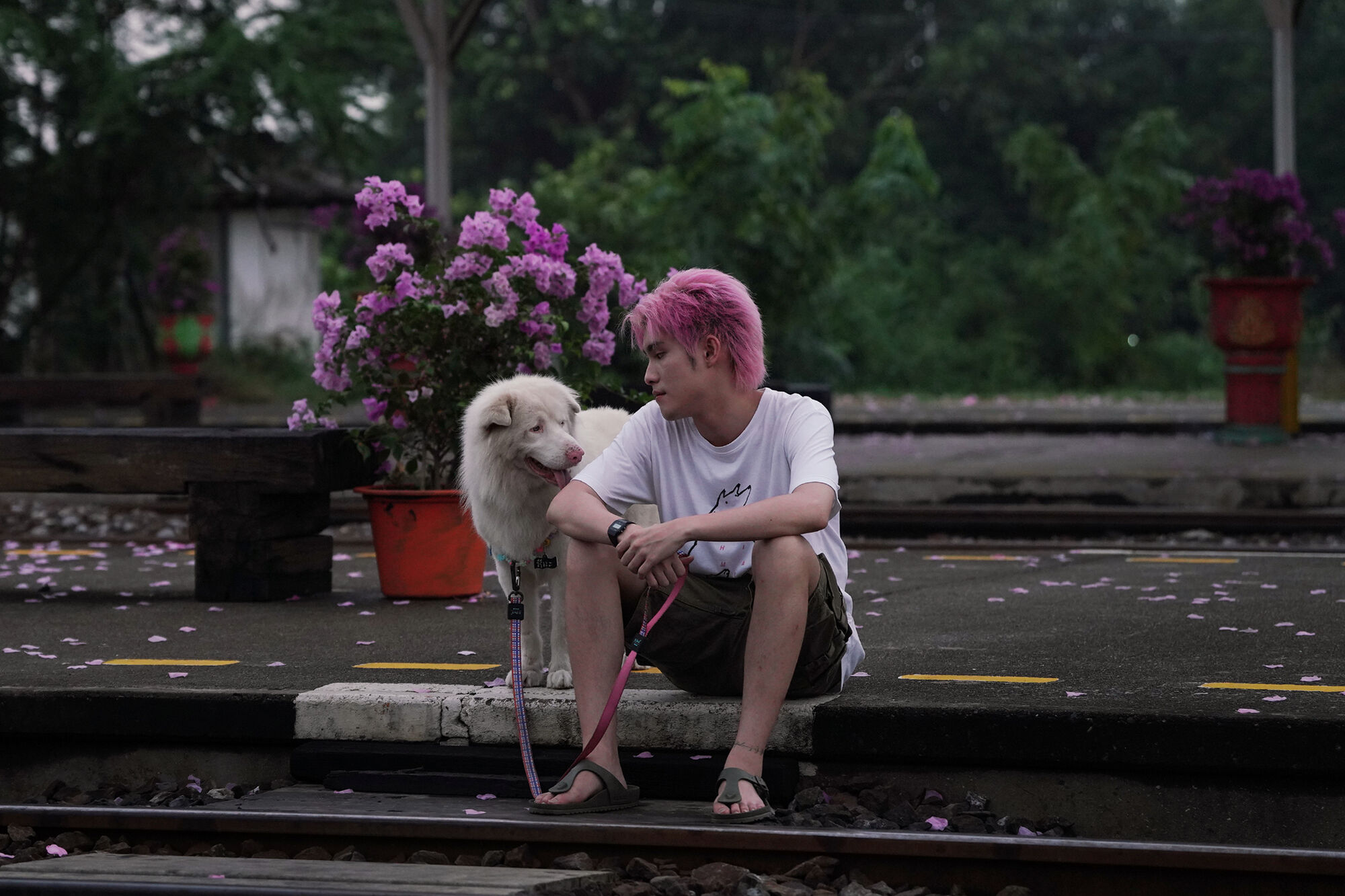 Scene Image 5