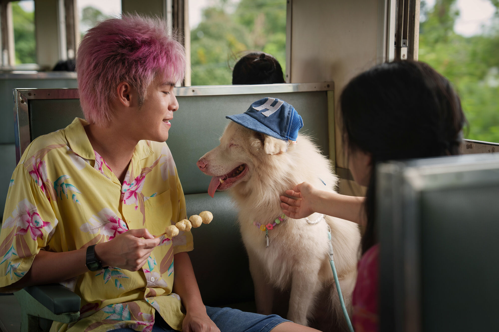 Scene Image 6
